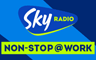 Sky Radio non-stop@work - de beste werkmuziek met non-stop pop en feel good hits - Pop/Hits
