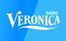 Radio Veronica - Alleen Echte Hits! - Pop/Hits